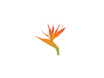 Noches de la 57 logo